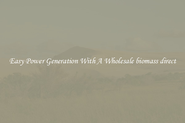 Easy Power Generation With A Wholesale biomass direct