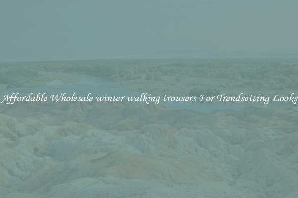 Affordable Wholesale winter walking trousers For Trendsetting Looks