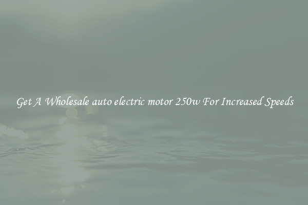 Get A Wholesale auto electric motor 250w For Increased Speeds