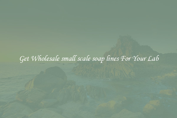 Get Wholesale small scale soap lines For Your Lab
