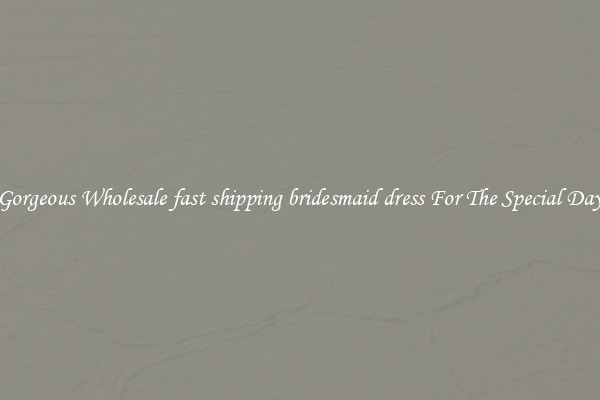Gorgeous Wholesale fast shipping bridesmaid dress For The Special Day