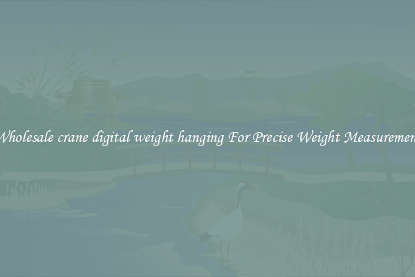 Wholesale crane digital weight hanging For Precise Weight Measurement