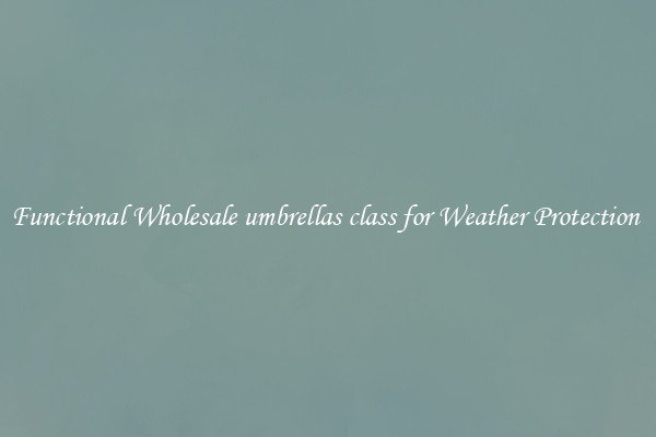 Functional Wholesale umbrellas class for Weather Protection 