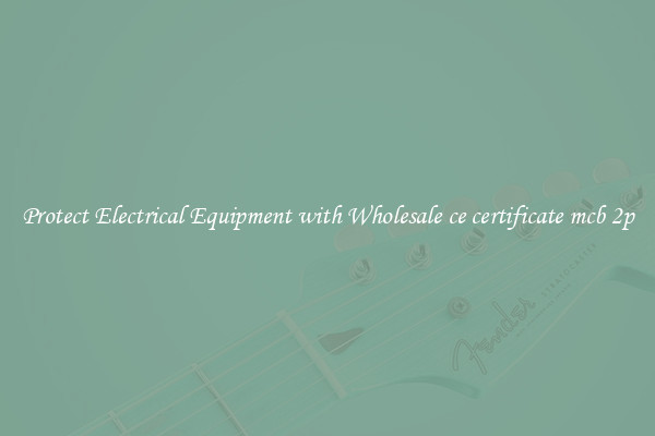 Protect Electrical Equipment with Wholesale ce certificate mcb 2p