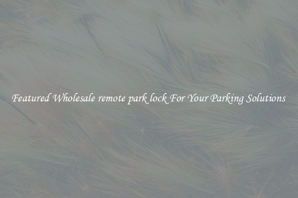 Featured Wholesale remote park lock For Your Parking Solutions 