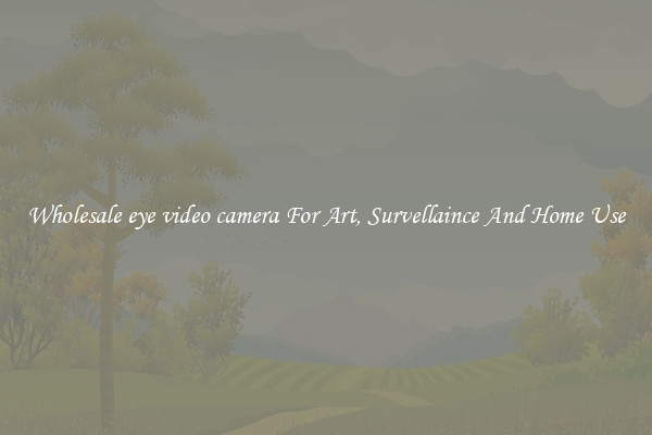 Wholesale eye video camera For Art, Survellaince And Home Use