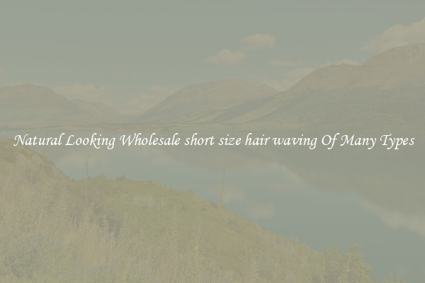 Natural Looking Wholesale short size hair waving Of Many Types