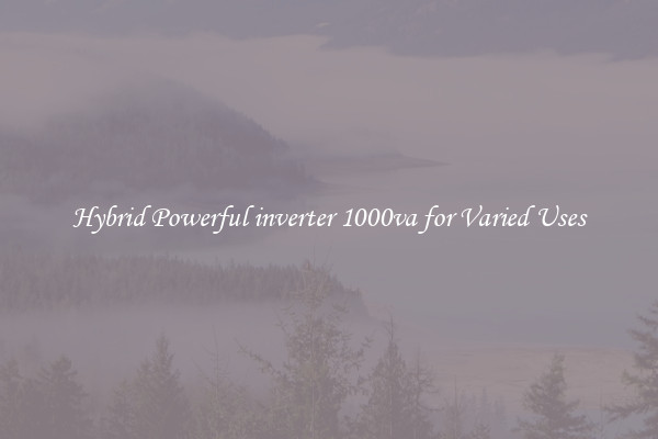 Hybrid Powerful inverter 1000va for Varied Uses
