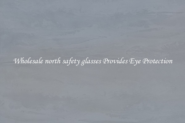 Wholesale north safety glasses Provides Eye Protection