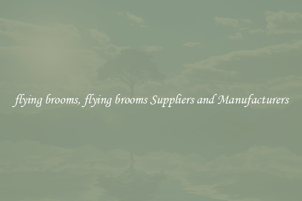 flying brooms, flying brooms Suppliers and Manufacturers
