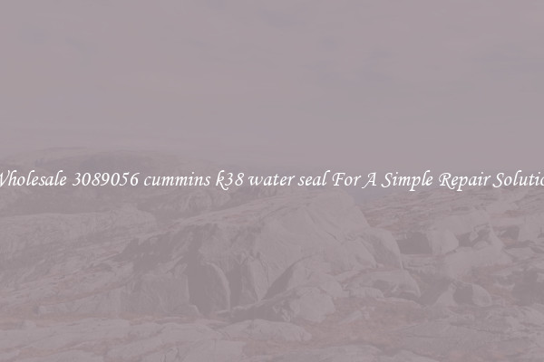 Wholesale 3089056 cummins k38 water seal For A Simple Repair Solution
