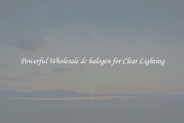Powerful Wholesale dc halogen for Clear Lighting