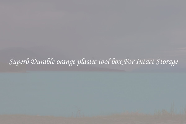Superb Durable orange plastic tool box For Intact Storage