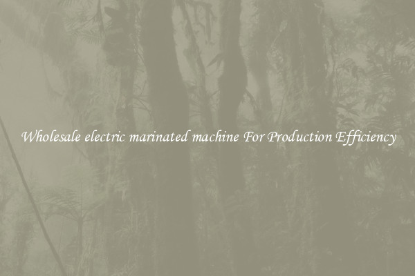 Wholesale electric marinated machine For Production Efficiency
