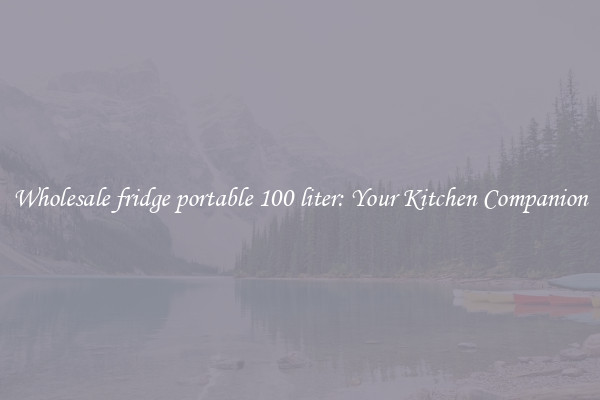 Wholesale fridge portable 100 liter: Your Kitchen Companion
