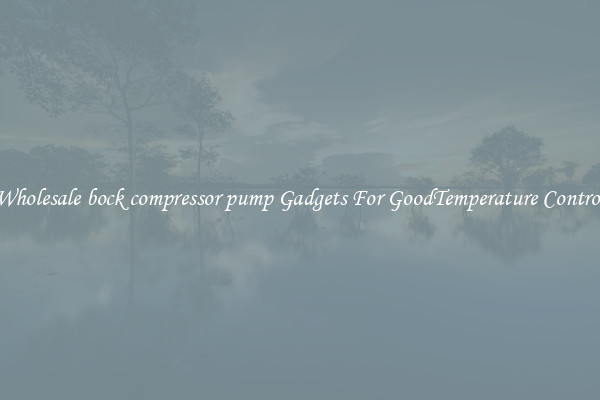 Wholesale bock compressor pump Gadgets For GoodTemperature Control
