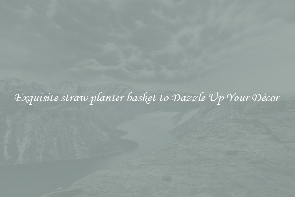 Exquisite straw planter basket to Dazzle Up Your Décor 