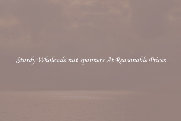 Sturdy Wholesale nut spanners At Reasonable Prices