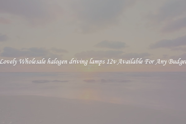 Lovely Wholesale halogen driving lamps 12v Available For Any Budget