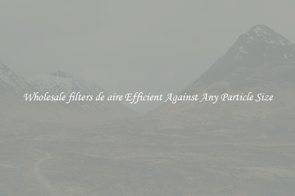 Wholesale filters de aire Efficient Against Any Particle Size