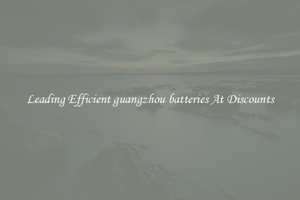 Leading Efficient guangzhou batteries At Discounts