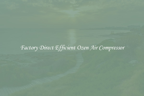 Factory Direct Efficient Ozen Air Compressor