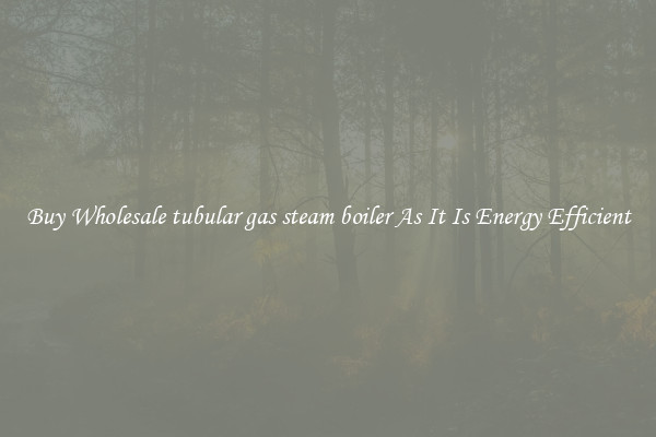 Buy Wholesale tubular gas steam boiler As It Is Energy Efficient