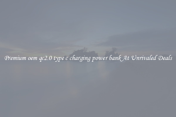 Premium oem qc2.0 type c charging power bank At Unrivaled Deals