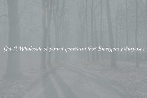 Get A Wholesale st power generator For Emergency Purposes