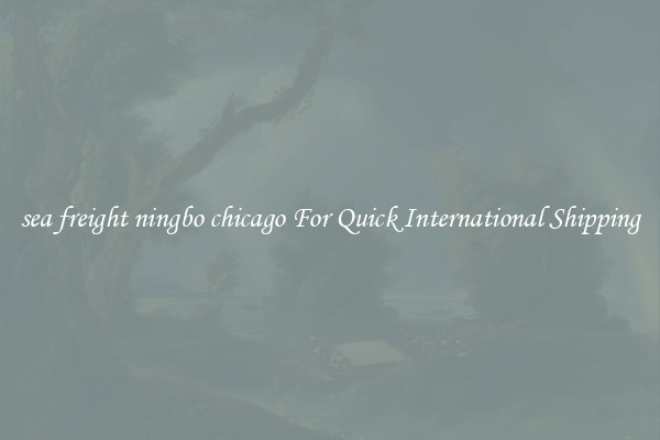 sea freight ningbo chicago For Quick International Shipping