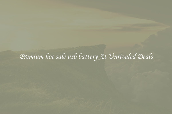 Premium hot sale usb battery At Unrivaled Deals