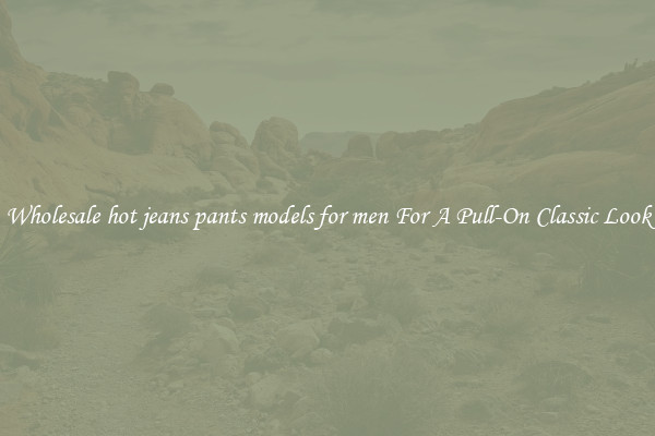 Wholesale hot jeans pants models for men For A Pull-On Classic Look
